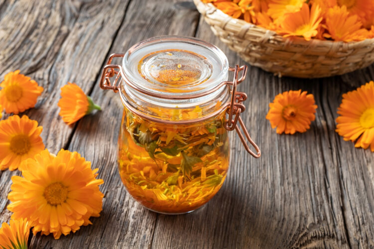 Calendula Toner For Face